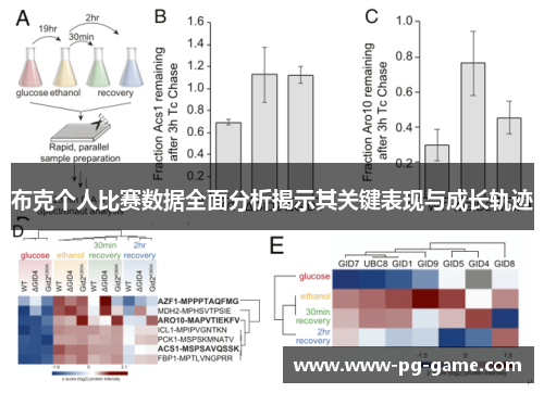 布克个人比赛数据全面分析揭示其关键表现与成长轨迹 布克个人比赛数据全面分析揭示其关键表现与成长轨迹