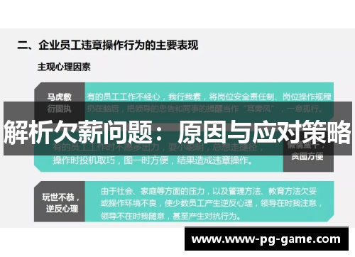 解析欠薪问题：原因与应对策略