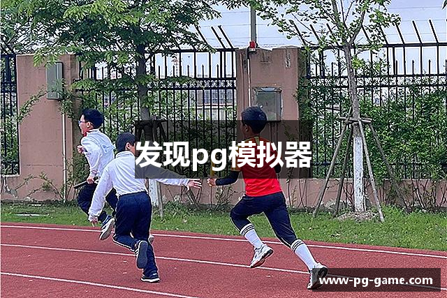 发现pg模拟器